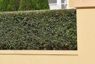 Norah Headhard-landscaping-surfaces-8.jpg; ?>